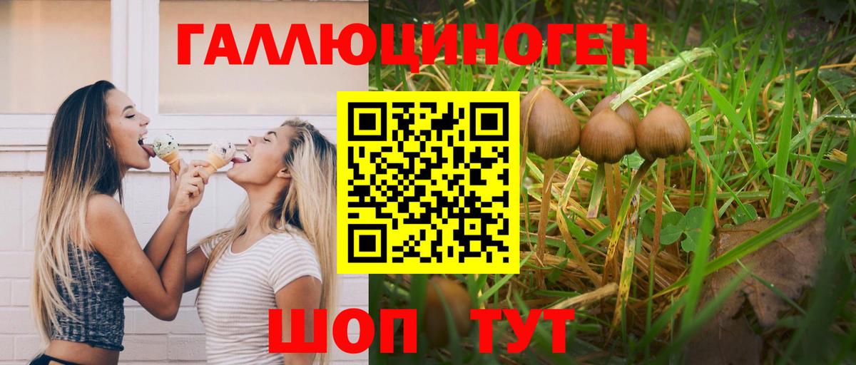 Холмск  Галлюциногенные грибы мицелий  Вход с VPN 